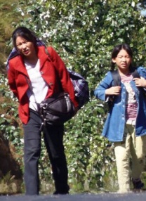 久久青草久久